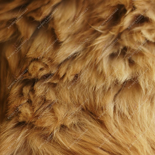 Animal Print - Vinyl Wrap