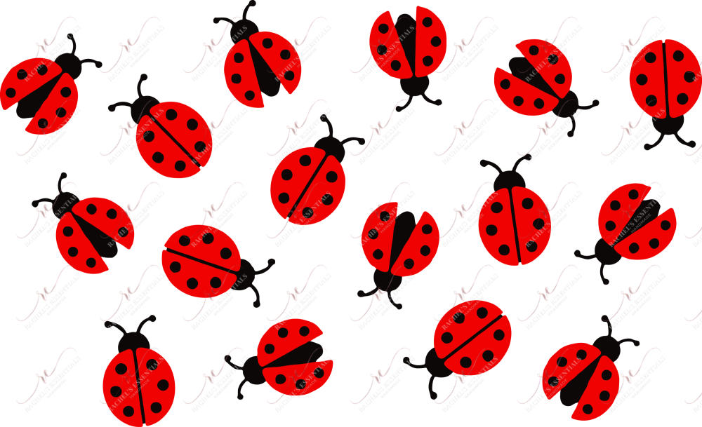 Ladybugs No Hole - Cold Cup Wrap Cold