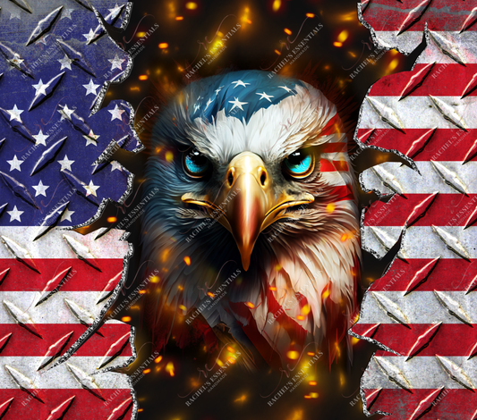 American Flag And Eagle-Ready To Press Sublimation Transfer Print Sublimation