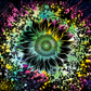 Color Splash Sunflower- Ready To Press Sublimation Transfer Print Sublimation