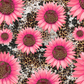 Cow Leopard Pink Sunflower- Ready To Press Sublimation Transfer Print Sublimation