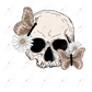 Daisy Skull- Htv Transfer