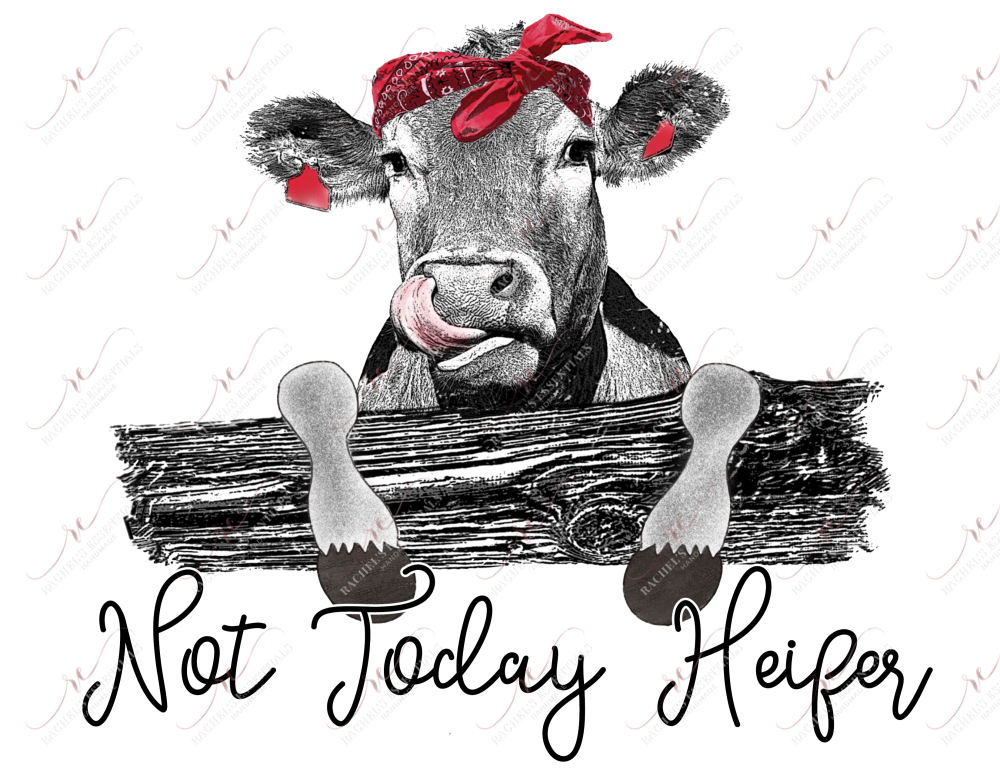 Not Today Heifer - Ready To Press Sublimation Transfer Print Sublimation