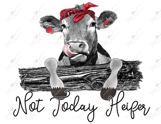 Not Today Heifer - Ready To Press Sublimation Transfer Print Sublimation