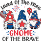 Patriotic Gnomes-Ready To Press Sublimation Transfer Print Sublimation