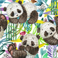 Colorful Panda - Ready To Press Sublimation Transfer Print Sublimation