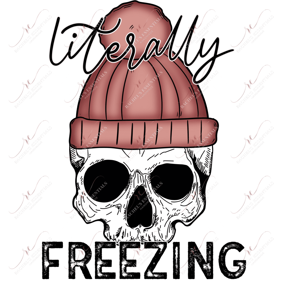 Literally Freezing - Clear Cast Decal