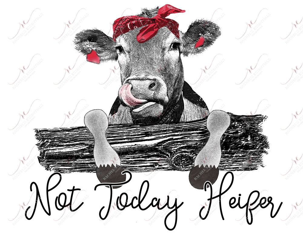 Not Today Heifer - Ready To Press Sublimation Transfer Print Sublimation