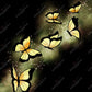 Yellow Glow Butterflies - Vinyl Wrap